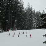 phoca_thumb_m_lye 2.den  81 Fotogalerie